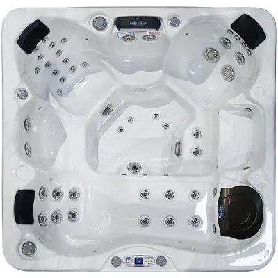 Avalon EC-849L hot tubs for sale in Middle Island