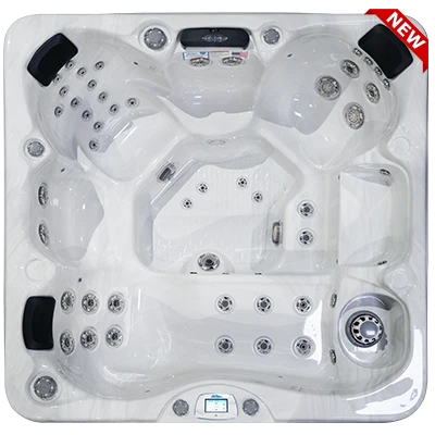 Avalon-X EC-849LX hot tubs for sale in Middle Island